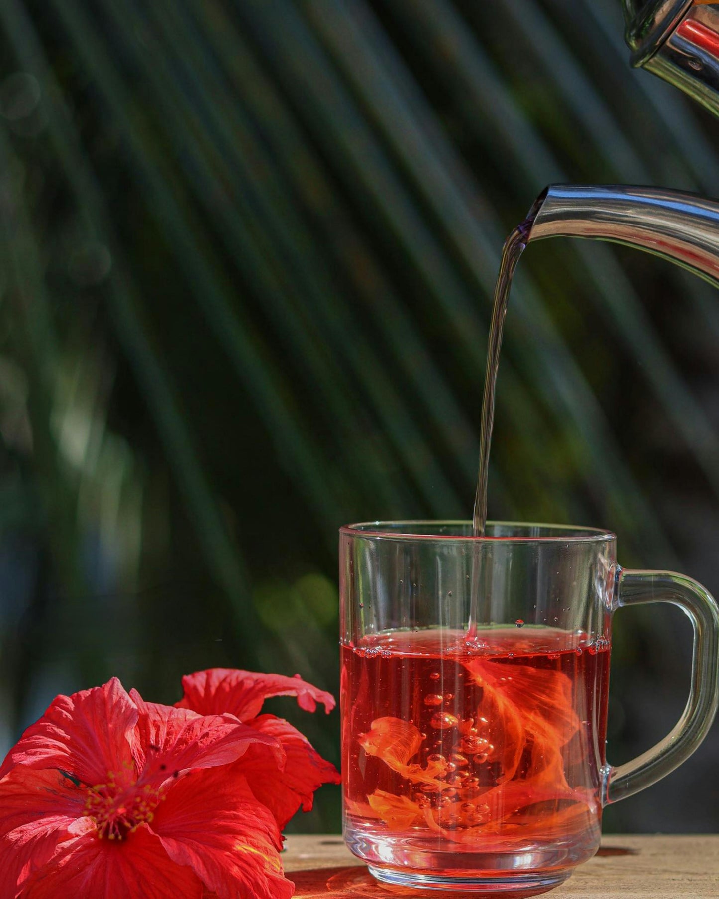 Hibiscus Herbal Tea